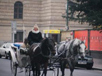 Cariage Ride on Pragues City Streets